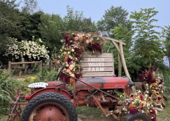 Amber Waves Farm Unites the Community for a One-of-a-Kind Celebration