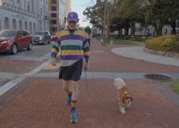 Review: ‘Carville: Winning Is Everything, Stupid’