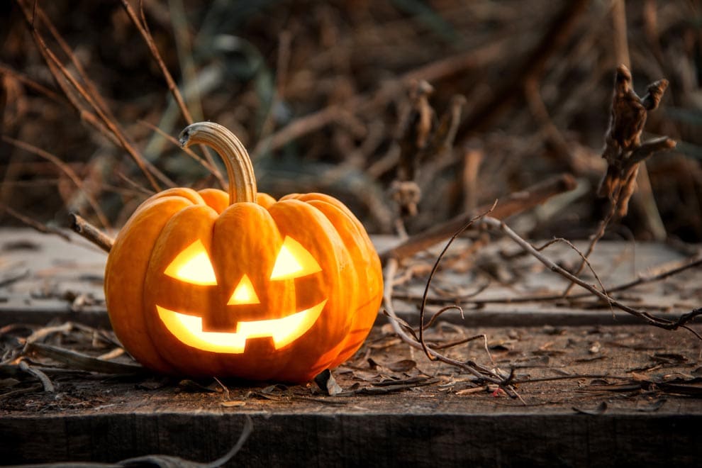 Fall Festival at Good Ground Park