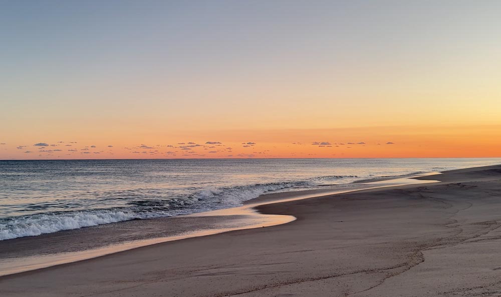 Lone Sharks at Coopers Beach