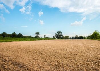 Bideawee Sells Vacant Land at Westhampton Property to Southampton Town’s Community Preservation Fund