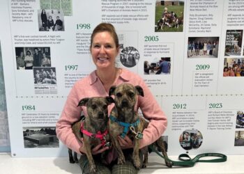 Kimberly J. Nichols Kicks Off ARF’s Holiday Giving Tree and Community Drives