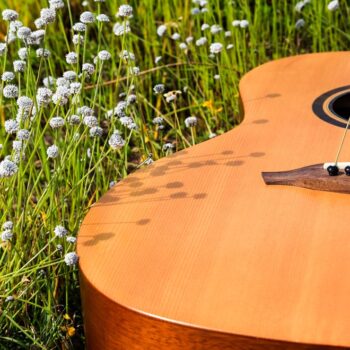 East Hampton Music Series Presents: Tal Naccarato, LIVE! Unplugged