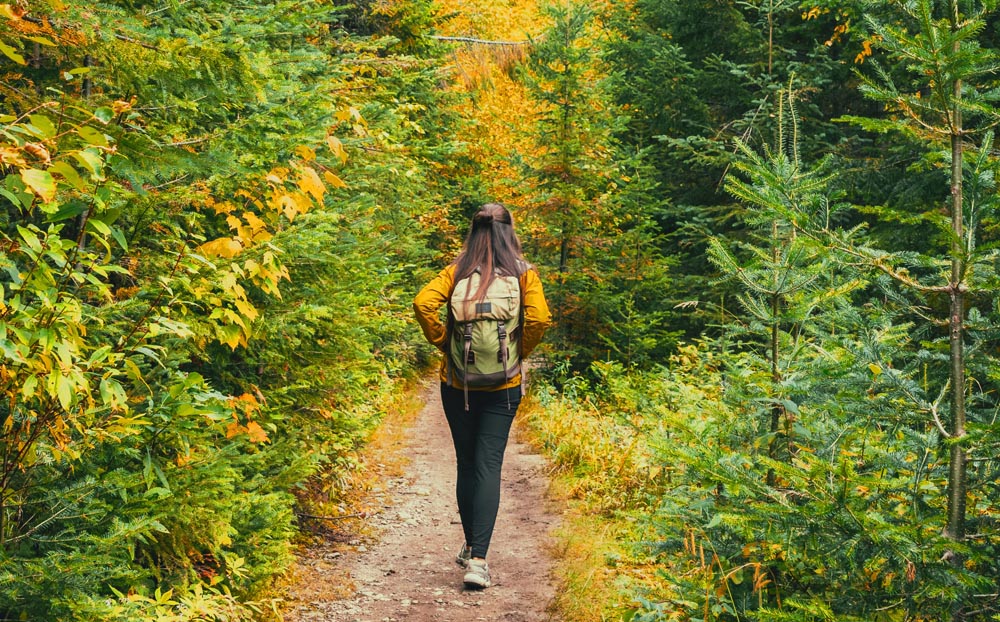 Southampton Youth Services to Long Springs Loop Guided Hike