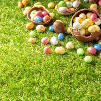 Egg Hunt for Toddlers at Quogue Wildlife Refuge