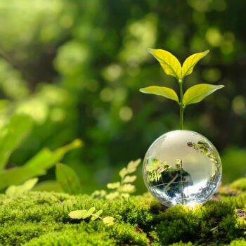 Saturday Camp: Seeds to Sprouts/Garden Best Friends