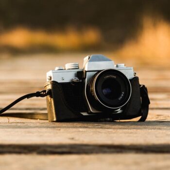 Photography and the Organic: An Anthotype Workshop with Diana Guerra
