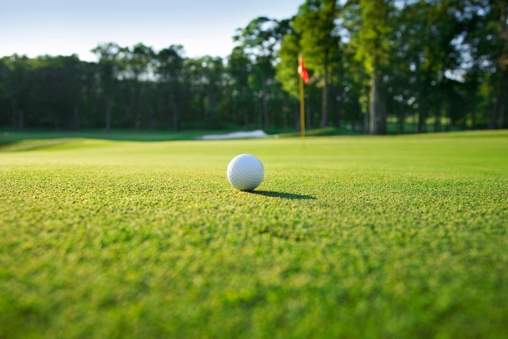 Spring Swing - Golf for A Cause CTREE