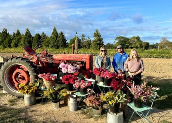 Rooted in Giving: Share the Harvest Farm’s Community-Driven Mission