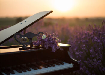 Top Hamptons Events This Weekend: July 25th, 2025
