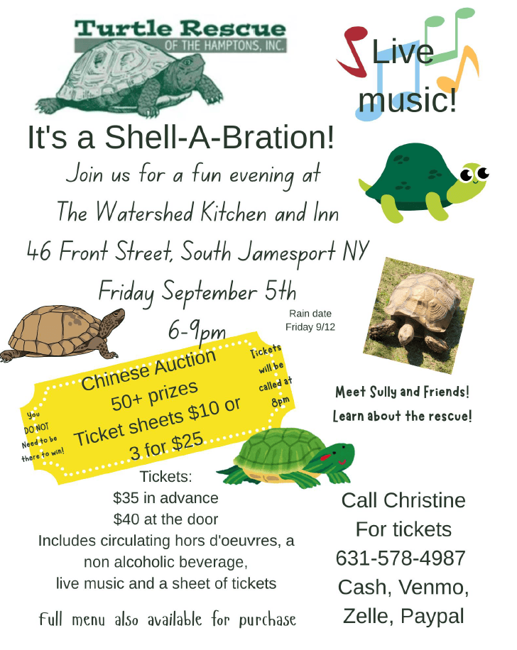 Shell-A-Bration