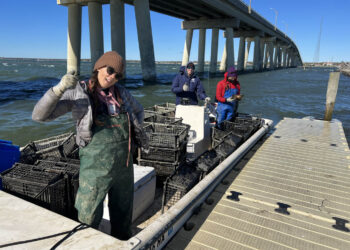 Back to the Bays: Protecting Our Waters One Volunteer at a Time