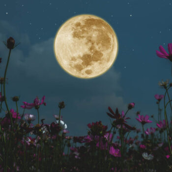 Full Blue Moon Hike and Serene Serenade