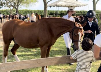 Top Hamptons Events This Weekend: August 29th, 2025