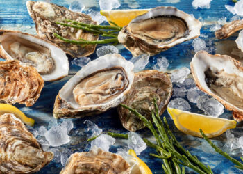 Top Hamptons Events This Weekend: September 5th, 2025