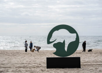 ARF’s 32nd Annual Stroll to the Sea Draws Crowds and Canines