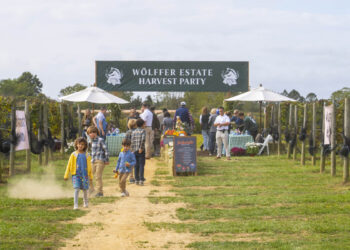 Wölffer’s Harvest Party: Stomp, Sip, and Celebrate