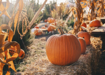 Top Hamptons Events This Weekend: October 17th, 2025