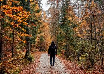 Long Springs Loop Hike