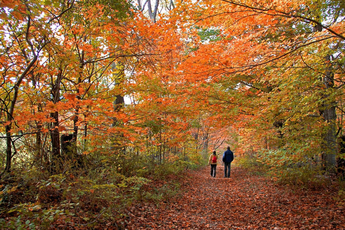 Long Pond Greenbelt Nature Preserve Hike
