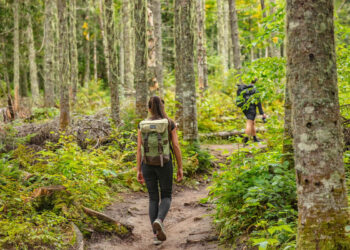 North Neck Hike in Montauk