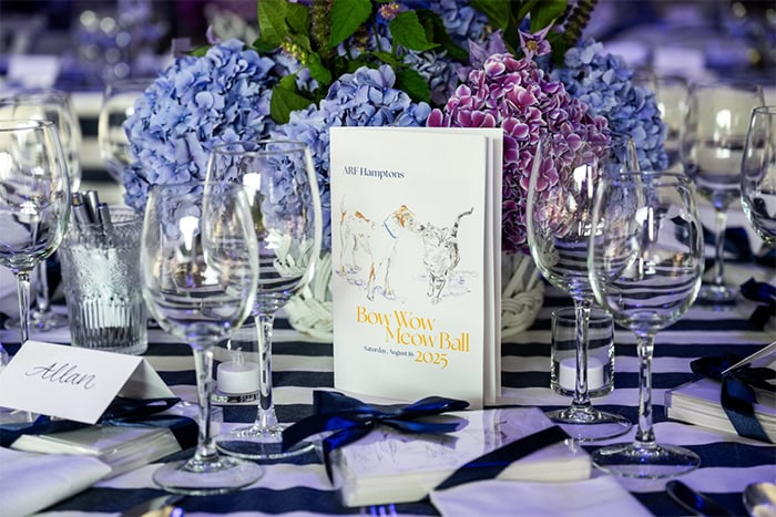 ARF's Bow Wow Meow Ball