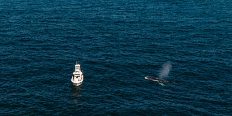 INTERVIEW: Jeff Ragovin on “Empire of the Atlantic” Documentary