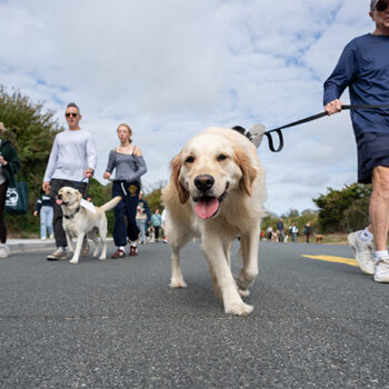 ARF's Stroll to the Sea Dog Walk