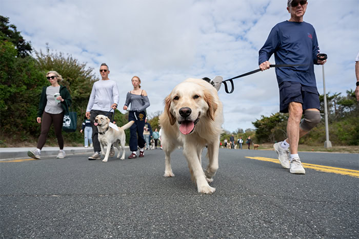 ARF's Stroll to the Sea Dog Walk