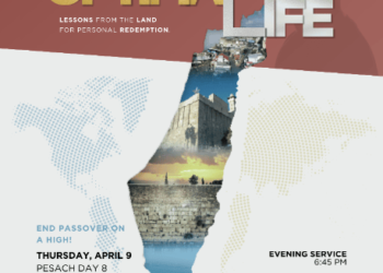 Optimal Life: Judaism & Mental Wellness