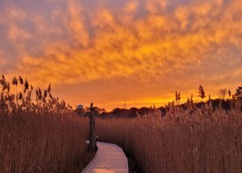 Spring Equinox Lantern Tour at the Fairy Dell Boardwalk