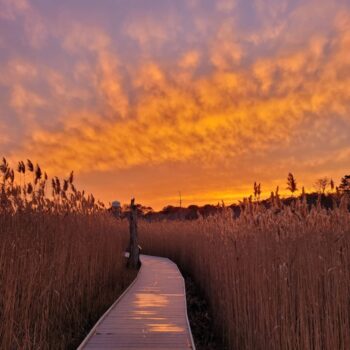 Spring Equinox Lantern Tour at the Fairy Dell Boardwalk