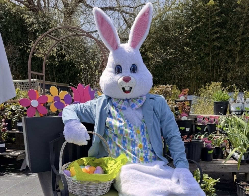 Easter at KIDD SQUID