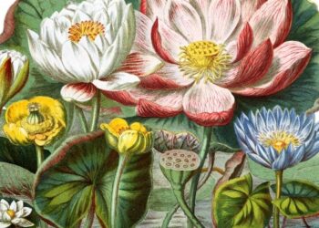 Spring Break at Rogers Mansion: Historic Plants & Farming