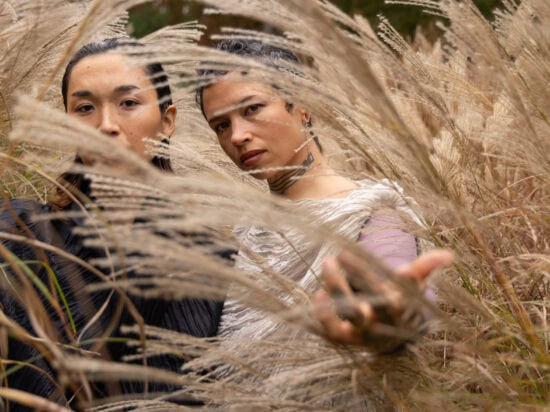 In- Process: Holland Andrews & Yuniya Edi Kwon - How Does It Feel To Look At Nothing