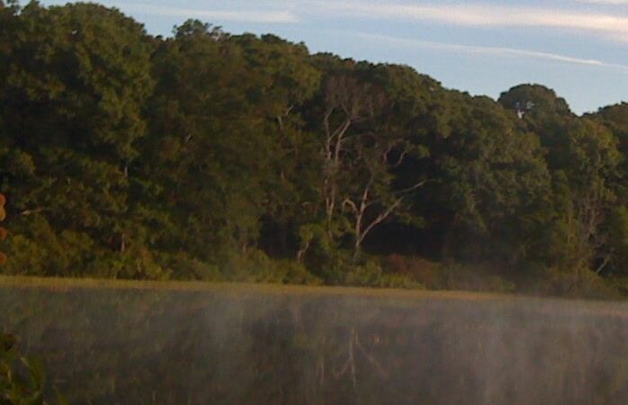 Pitch in on the Great East End Cleanup