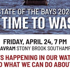 State of the Bays 2026