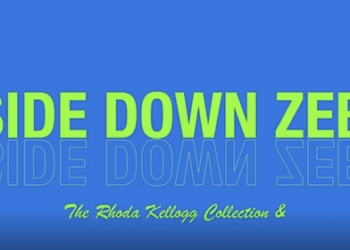 EXHIBITION TOURS | UPSIDE DOWN ZEBRA