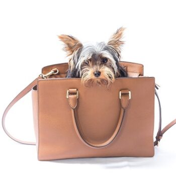 2nd Annual Hamptons Handbag Festival