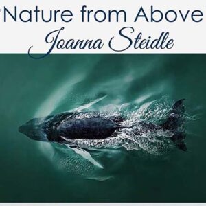 "Nature from Above" Drone Photography Exhibit