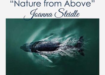 “Nature from Above” Drone Photography Exhibit