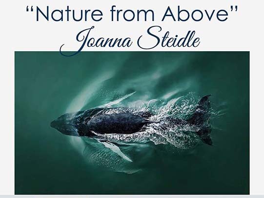 "Nature from Above" Drone Photography Exhibit