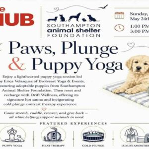 The HUB Paws, Plunge, & Puppy Yoga
