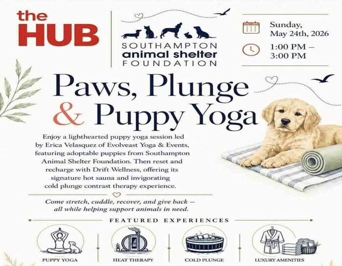 The HUB Paws, Plunge, & Puppy Yoga