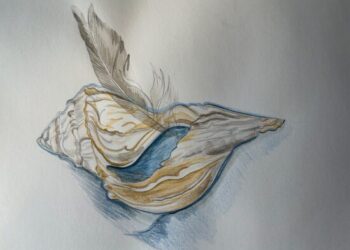 Art Social: Watercolor—Seashell, Feather, & More