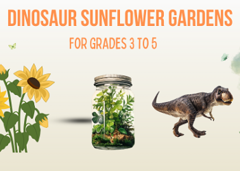 Dinosaur Sunflower Gardens at The Hampton Library