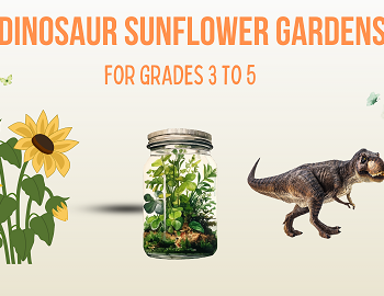 Dinosaur Sunflower Gardens at The Hampton Library