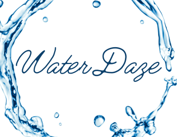 Water Daze at The Hampton Library