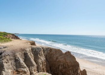 Life at the End: The Magic of a Montauk Summer