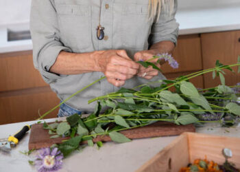 Little Herbalists: Summer Skin Rescue (Family Workshop at The Green School)